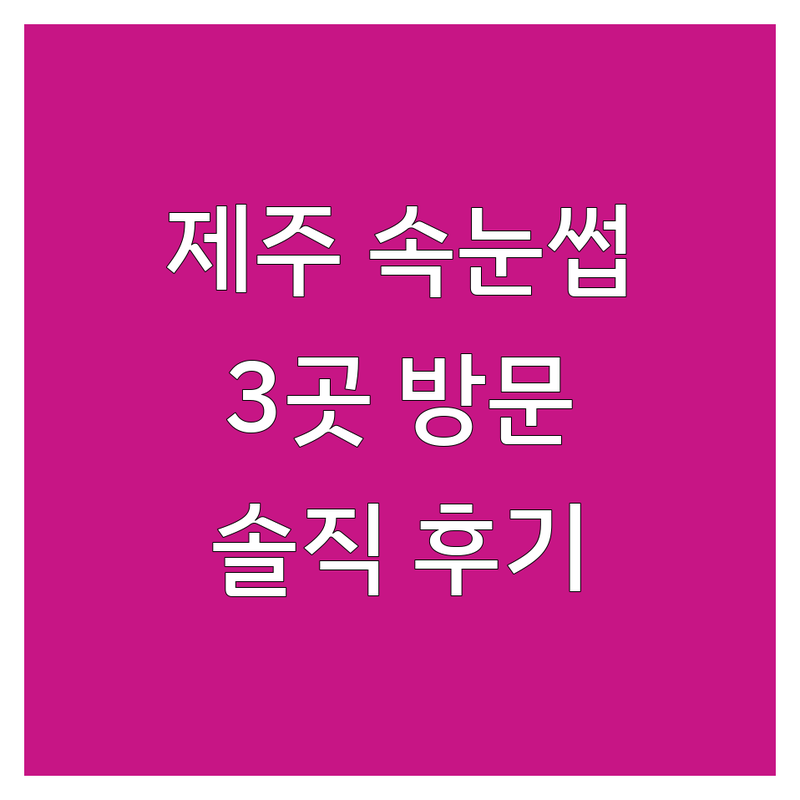 제주 제주시에서 찾은 빛나는 속눈썹관리 3곳 | 직접 방문 후기 포함