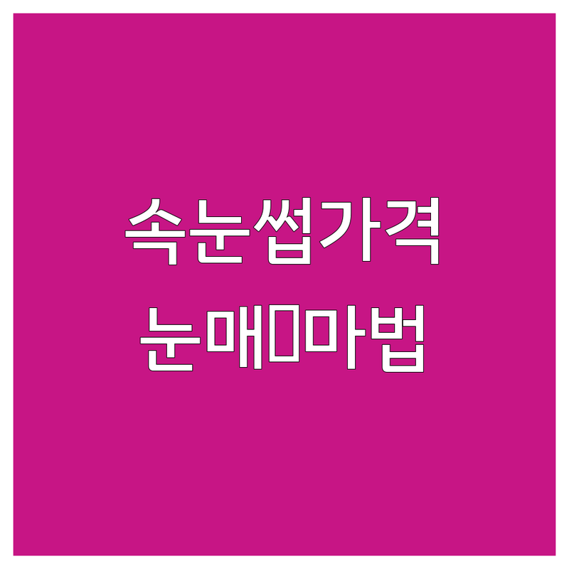 ✨ 눈매를 빛내는 마법! 송파구 속눈썹가격 한눈에 비교 | 가격부터 서비스까지 완벽 분석