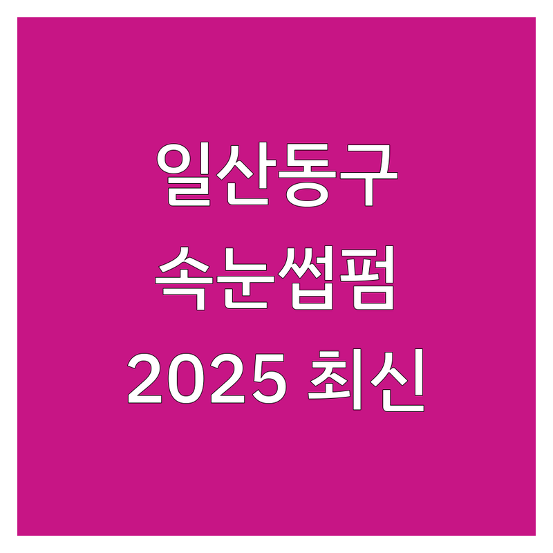 고양시 일산동구 속눈썹펌/연장 속눈썹후기 베스트 선택 | 2025년 최신 순위 정리
