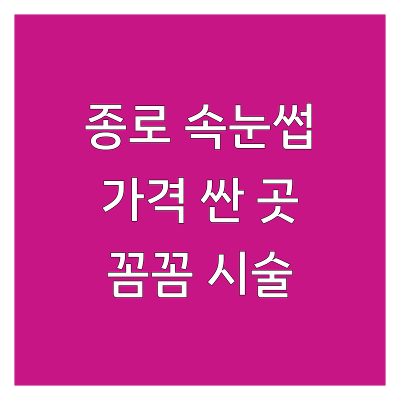 종로/광화문/종각 속눈썹샵 저렴한 곳 가격싼 곳 업체 추천 | 속눈썹연장 속눈썹펌 비용 가격 잘하는 곳 | 노글루펌 브로우리프트 | 유지력 자연스러운 꼼꼼한 시술 | 예약 주차 방문자리뷰 가성비