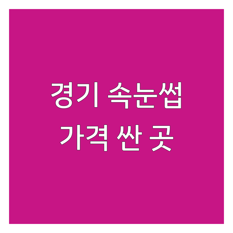 경기 시흥/화성/안산/수원 속눈썹리프팅 저렴한 곳 가격싼 곳 업체 추천 | 속눈썹펌 비용 가격 잘하는 곳 | 속눈썹 연장 뷰러펌 아이래쉬 | 자연스러운 눈매 또렷한 눈매 | 첫 방문 할인 솔직 후기