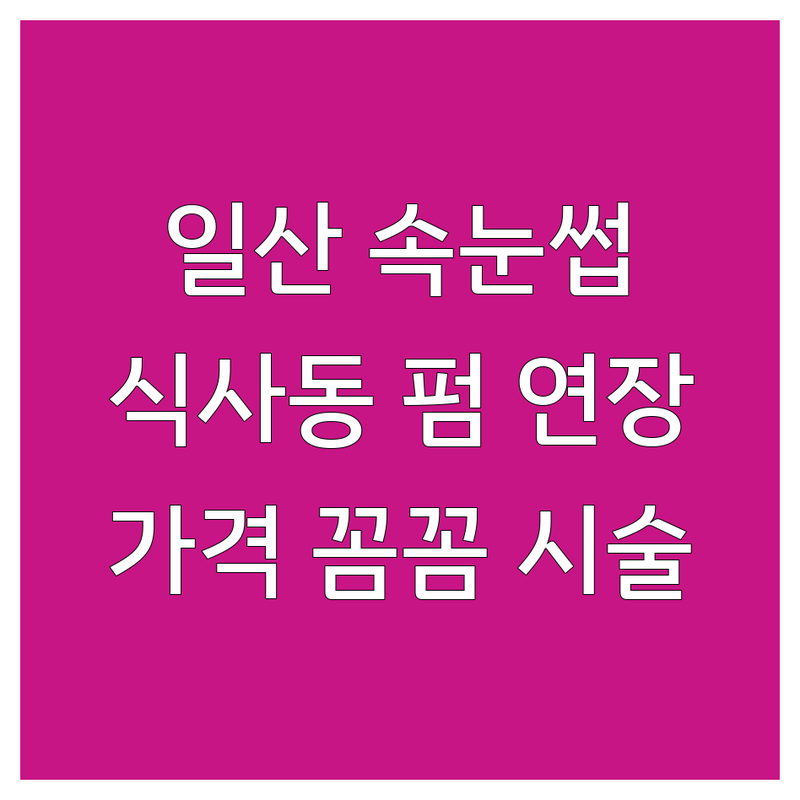 고양시 일산동구 식사동 속눈썹연장 펌 저렴한 곳 업체 추천 | 속눈썹펌 속눈썹연장 비용 가격 잘하는 곳 | 벨벳모 인모 밍크모 학생할인 뷰러펌 | 무료주차 꼼꼼한 시술 맞춤 디자인 | 당일 예약 가능 친절한 상담