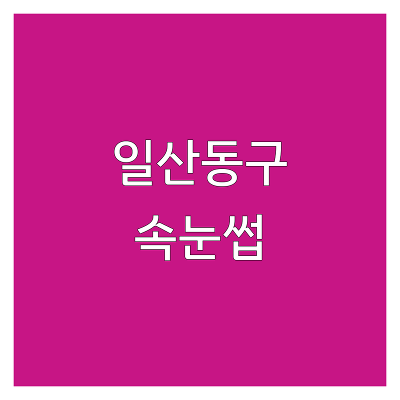고양시 일산동구 속눈썹가격 저렴한 곳 잘하는곳 | 속눈썹연장 속눈썹펌 비용 | 자연스러운 디자인 유지력 좋은 샵 | 뷰티샵 네일 피부관리