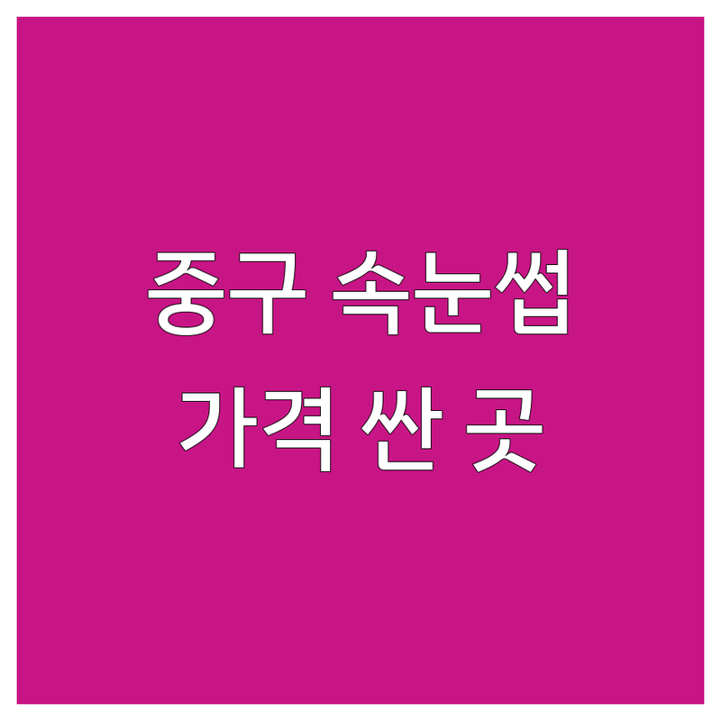서울 중구 속눈썹연장 저렴한 곳 가격싼 곳 업체 추천 | 속눈썹펌 비용 가격 잘하는 곳 | 실크모 플랫모 볼륨 연장 케라틴펌 | 네일아트 피부관리 눈썹정리 | 꼼꼼한 시술 유지력 친절 맞춤 디자인 예약제