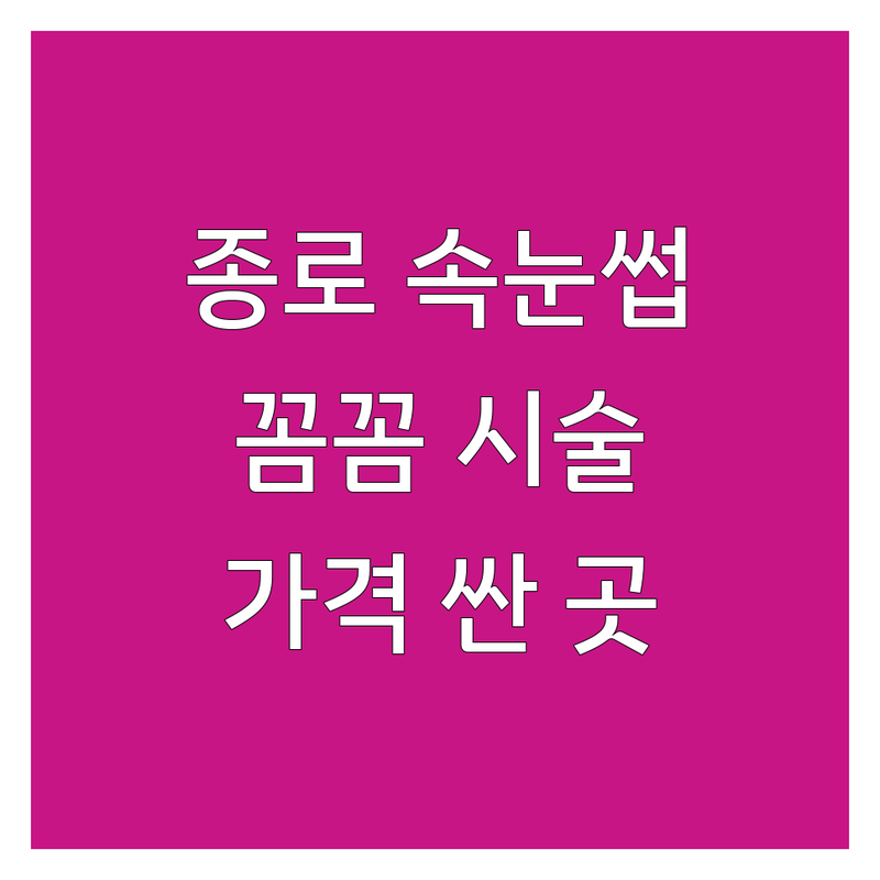 종로 종각역 속눈썹예약 저렴한 곳 가격싼 곳 업체 추천 | 속눈썹연장 비용 가격 잘하는 곳 | 속눈썹펌 속눈썹증모 브로우펌 | 천연모 벨벳모 플랫모 | 꼼꼼한 시술 편안한 눈 유지력