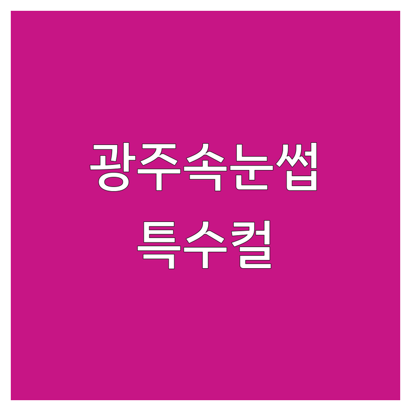 광주 속눈썹 특수컬 잘하는 곳 가격싼 곳 업체 추천 | 광진구 인계동 속눈썹 연장 펌 비용 가격 현명하게 | 볼륨래쉬 애니메래쉬 특수컬래쉬 | 첫 방문 할인 예약 무료 상담 | 전문가 꿀팁 주의사항 총정리