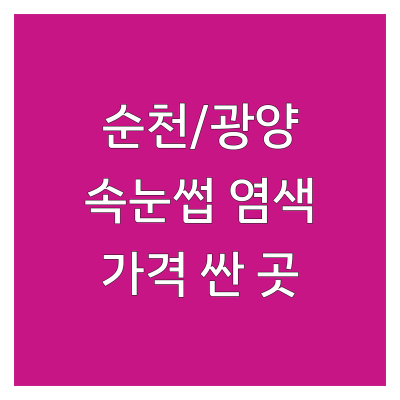 순천시 광양시 속눈썹염색 저렴한 곳/가격싼 곳/업체 추천 | 속눈썹펌/속눈썹연장 비용/가격/잘하는 곳 | 자연스러운 속눈썹/데일리 속눈썹/볼륨 속눈썹 | 뷰티팁/주의사항/후기 | 임산부 염색