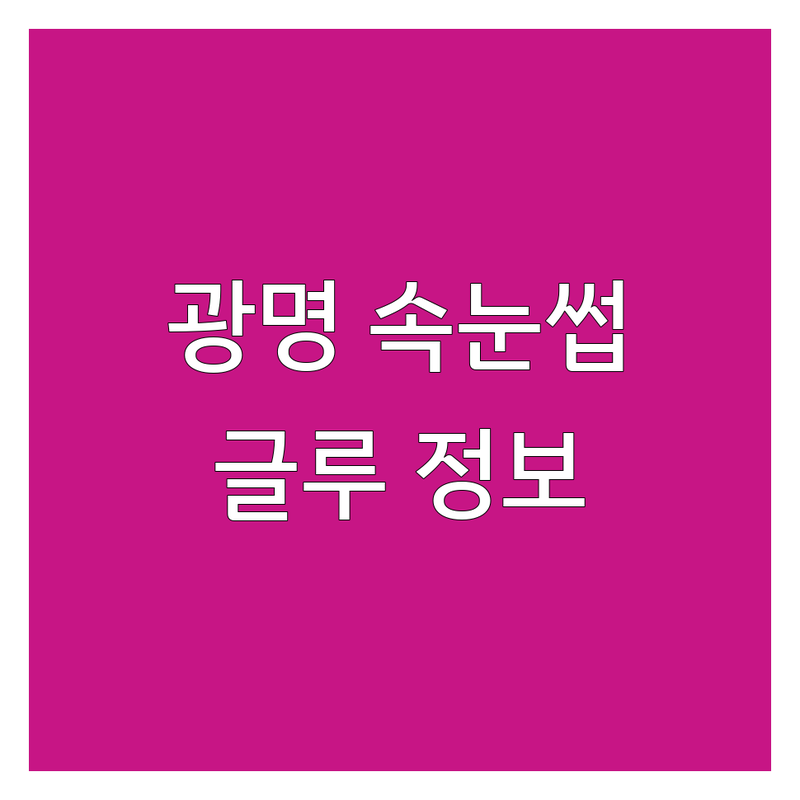 광명 속눈썹접착제 구매처 추천 | 안전한 아이래쉬글루 가격 비교 | 속눈썹 연장 글루 OEM ODM 제조