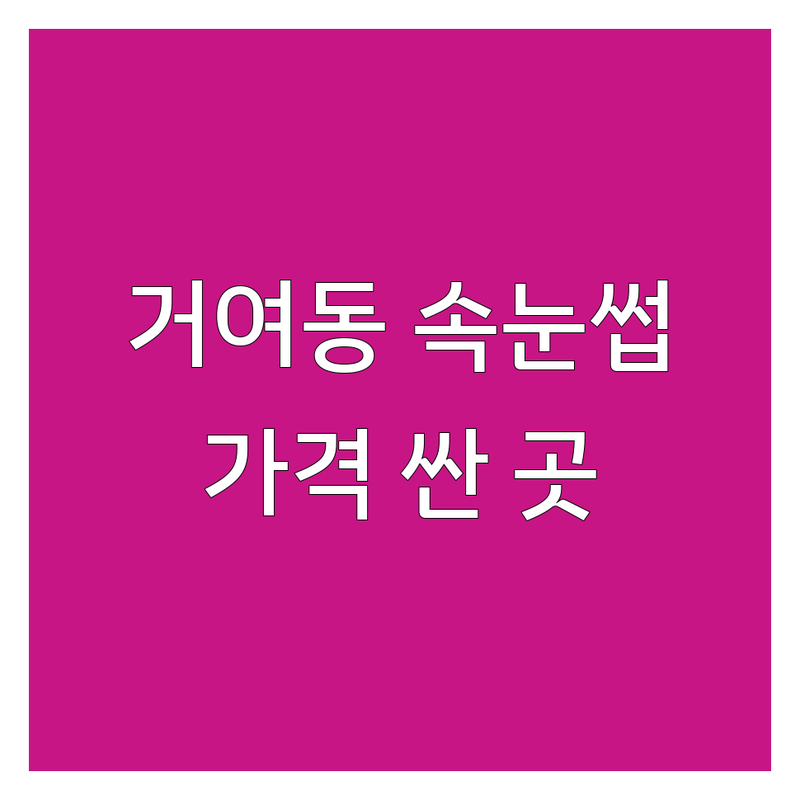 거여동 속눈썹케어 저렴한 곳 가격싼 곳 업체 추천 | 속눈썹 연장 펌 비용 가격 잘하는 곳 | 뷰러펌 아이라인펌 속눈썹영양제 | 속눈썹증모 언더래쉬 내추럴펌 | 거여역 송파체육문화회관 메가커피