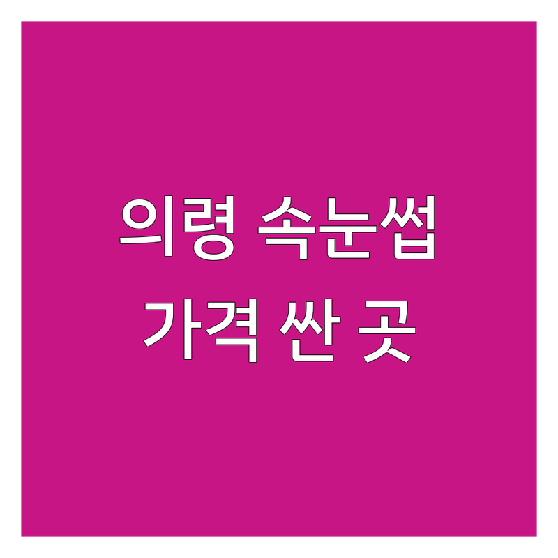의령읍 속눈썹 저렴한 곳 가격싼 곳 업체 추천 | 속눈썹연장 비용 가격 잘하는 곳 | 속눈썹펌 속눈썹연장 | 유지력 좋은 곳 자연스러운 디자인 | 꼼꼼한 시술 친절한 상담 1:1 예약제 주차 가능