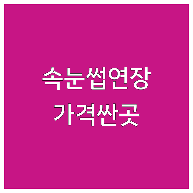 제주 구미 천안 속눈썹리터치 저렴한 곳 가격싼 곳 업체 추천 | 속눈썹연장 비용 가격 잘하는 곳 | 리터치 고급모 다크브라운 | 시술꼼꼼 자연스러움 편안함 | 유지력 합리적인가격