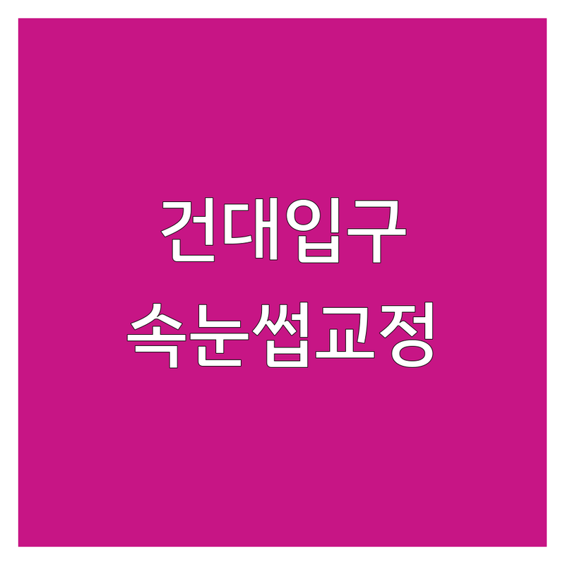 서울 건대입구 속눈썹교정 해결사 뷰티샵 추천 | 서비스별 특징 완벽 비교