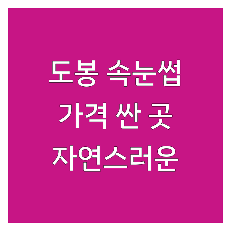 서울 도봉구 속눈썹교정 저렴한 곳 가격싼 곳 업체 추천 | 속눈썹펌 비용 가격 잘하는 곳 | 찌르는속눈썹교정 속눈썹파마 | 눈매교정 속눈썹영양제 | 후기 만족도 자연스러운