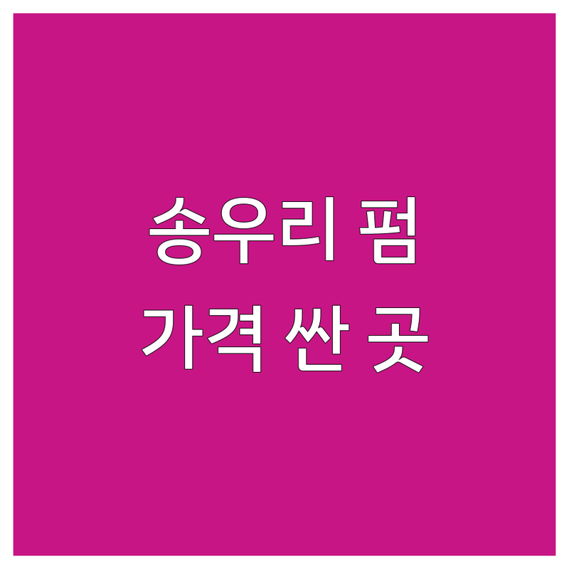 경기 포천시 송우리 속눈썹펌 저렴한 곳 가격싼 곳 업체 추천 | 속눈썹연장 비용 가격 잘하는 곳 | 케라틴펌 뷰러펌 마스카라연장 | 첫 방문 할인 꼼꼼한 시술 유지력 좋은 곳 | 자연스러운 디자인 속눈썹 영양제