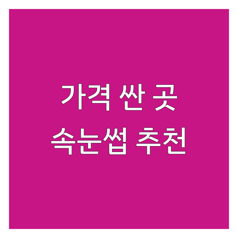 을지로 종각 속눈썹살롱 저렴한 곳 가격싼 곳 업체 추천 | 속눈썹 연장 펌 비용 가격 잘하는 곳 | 노글루 영양펌 클리닉펌 에어래쉬 | 모근보호 자연스러운 유지력 | 첫방문 할인 이벤트 주차가능