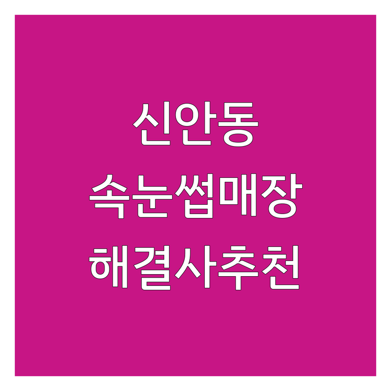 ✨ 진주 신안동 속눈썹매장 해결사 추천 | 서비스별 특징 완벽 비교