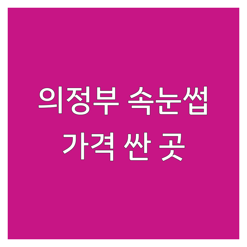의정부 속눈썹매장 저렴한 곳 가격싼 곳 업체 추천 | 속눈썹연장 펌 비용 가격 잘하는 곳 | 자연스러운 풍성한 뷰러펌 | 유지력 좋은 꼼꼼한 시술 | 예약 주차 1:1 상담