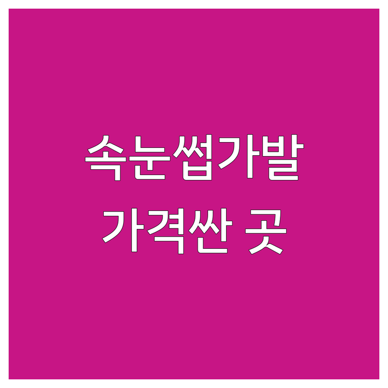 인천 부평 속눈썹가발 저렴한 곳 가격싼 곳 업체 추천 | 속눈썹연장 속눈썹펌 비용 가격 잘하는 곳 | 붙임머리 SMP | 첫 방문 할인 디자인 추천 | 예약 할인 후기 상담