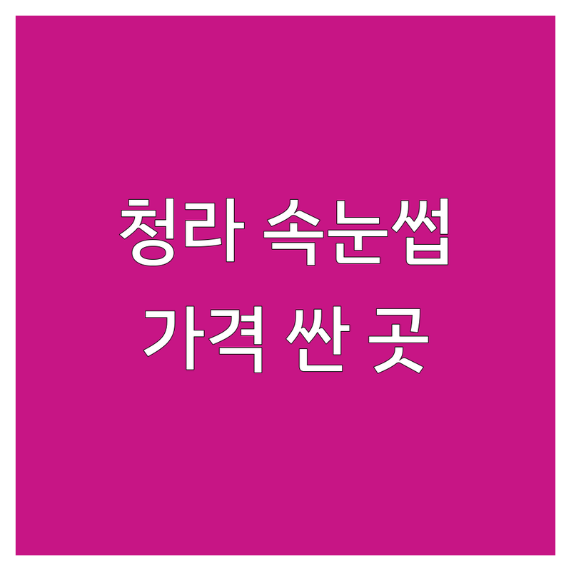 인천 서구 청라동 속눈썹매장 저렴한 곳 가격싼 곳 업체 추천 | 속눈썹연장 속눈썹펌 비용 가격 잘하는 곳 | 뷰러펌 케라틴펌 플랫모 | 유지력 꼼꼼한 시술 친절한 상담 | 1인샵 예약제 후기
