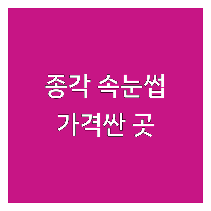 종각역 속눈썹연장 저렴한 곳 가격싼 곳 업체 추천 | 속눈썹펌 비용 가격 잘하는 곳 | 플랫모 벨벳모 클리닉펌 | 펌앤연장 내추럴연장 | 당일예약 무료상담