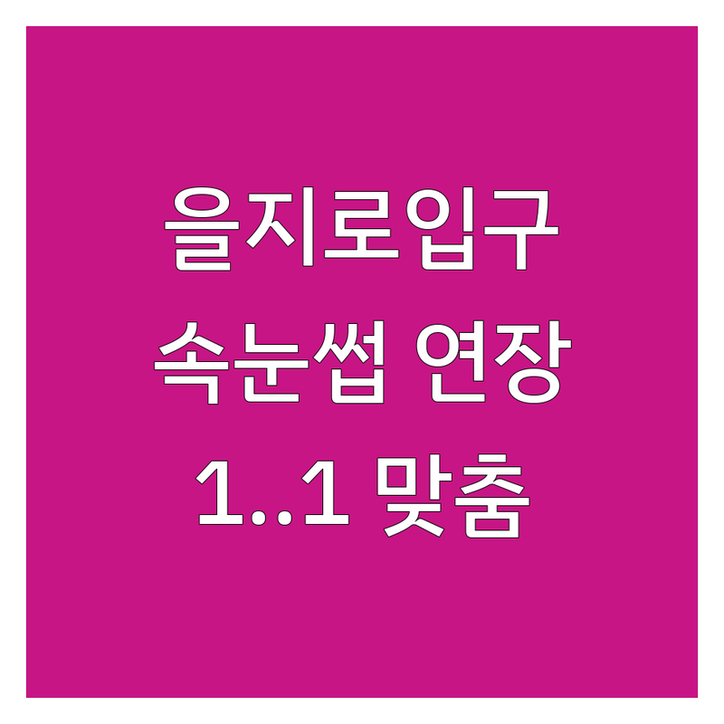 서울 을지로입구역 속눈썹샵 저렴한 곳 가격싼 곳 업체 추천 | 속눈썹 연장 펌 비용 가격 잘하는 곳 | 노글루펌 블랙틴팅펌 복구펌 | 유지력 좋은 속눈썹 자연스러운 속눈썹 시술 후기 | 1:1 맞춤 디자인 전문가