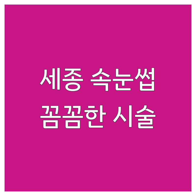 세종 속눈썹샵 저렴한 곳 가격싼 곳 업체 추천 | 속눈썹연장 속눈썹펌 잘하는 곳 | 뷰러펌 자연스러운 유지력 좋은 | 꼼꼼한 친절한 가성비 | 주차가능 예약필수 첫방문할인