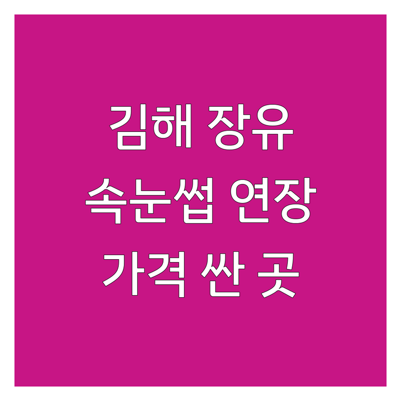 김해장유율하 속눈썹 연장/펌 저렴한 곳 가격싼 곳 업체 추천 | 속눈썹상담 비용 가격 잘하는 곳 | 속눈썹펌 속눈썹연장 클리닉펌 | 눈썹상담 주차가능 예약 | 첫방문할인 복구펌