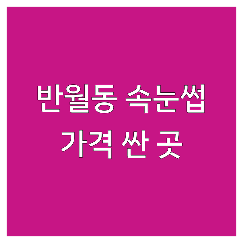 화성시 반월동 속눈썹시술 저렴한 곳 가격싼 곳 업체 추천 | 속눈썹연장 펌 비용 가격 잘하는 곳 | 자연모 브라운모 2D 복구펌 | 뷰러펌 클리닉틴팅펌 | 1인샵 프라이빗