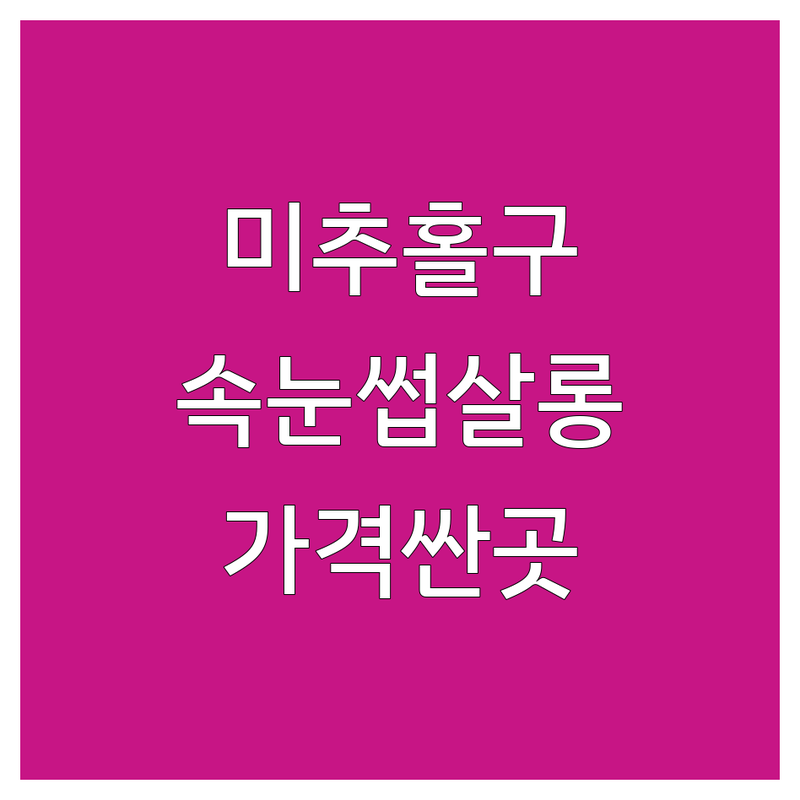 인천 미추홀구 속눈썹살롱 저렴한 곳 가격싼 곳 업체 추천 | 속눈썹 연장 펌 비용 가격 잘하는 곳 | 자연스러운 볼륨 언더펌 | 유지력 좋은 곳 편안한 시술 디자인 추천 | 첫 방문 할인 주차 가능 예약 필수