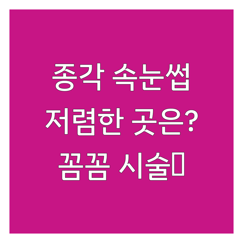 종각역 속눈썹추천 저렴한 곳 업체 추천 | 속눈썹연장 비용 가격 잘하는 곳 | 속눈썹펌 노글루펌 펌앤연장 | 친절한 시술 유지력 좋은 곳 | 주차가능 당일예약