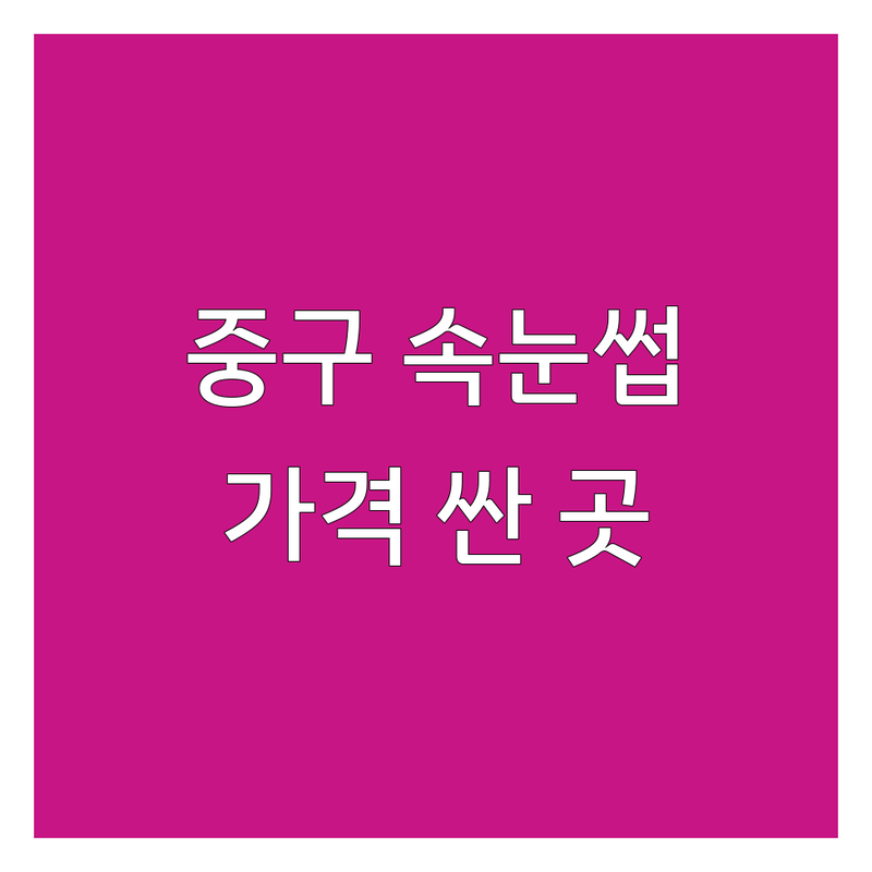 서울 중구 속눈썹샵 저렴한 곳 가격싼 곳 업체 추천 | 속눈썹 연장 펌 비용 가격 잘하는 곳 | 자연스러운 속눈썹 눈매 디자인 | 유지력 좋은 편안한 시술 | 명동 을지로 충무로 속눈썹 무료상담
