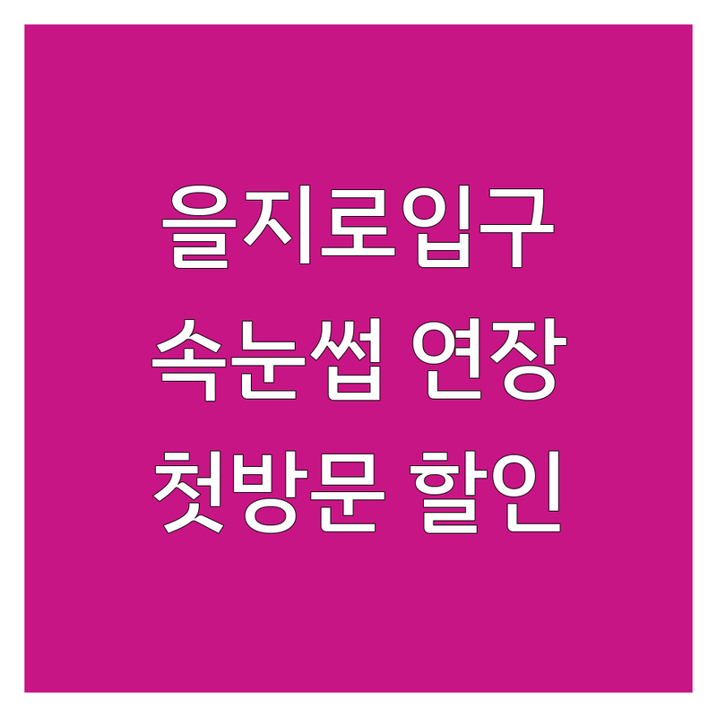 서울 을지로입구역 속눈썹관리 저렴한 곳 업체 추천 | 속눈썹연장 펌 비용 가격 잘하는 곳 | 노글루펌 클리닉펌 볼륨연장 | 당일예약 주차가능 첫방문할인 | 후기좋은곳 자연스러운 시술 편안한 눈매