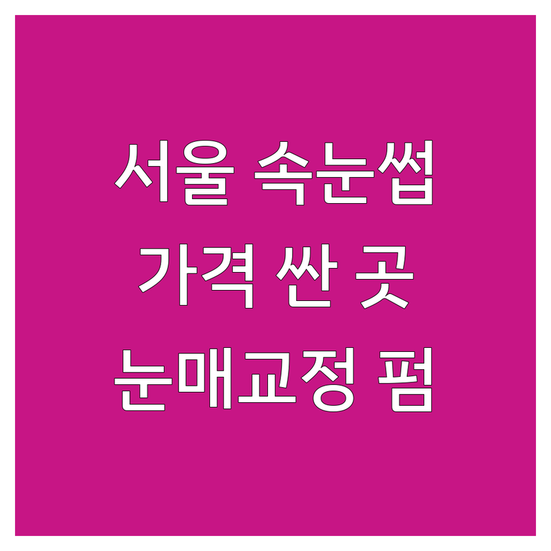 서울 속눈썹디자인 저렴한 곳 가격싼 곳 업체 추천 | 속눈썹연장 속눈썹펌 비용 가격 잘하는 곳 | 퍼스널디자인연장 눈매교정 디자인 | 유지력 좋은 꼼꼼한 시술 | 1:1 맞춤 친절한 상담 예약제