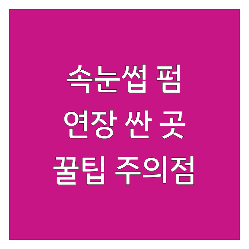 서울/경기 속눈썹인조 저렴한 곳 가격싼 곳 업체 추천 | 속눈썹연장펌 비용 가격 잘하는 곳 | 데일리 아이돌 글램 언더 속눈썹 | 인조속눈썹 컬러속눈썹 출장메이크업 | 내돈내산 꿀팁 주의사항