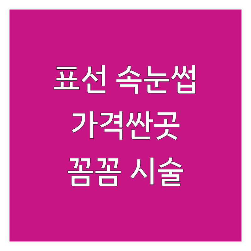 서귀포시 표선면 속눈썹 연장 펌 저렴한 곳 가격싼 곳 업체 추천 | 속눈썹가격 비용 잘하는 곳 | 자연눈썹 속눈썹펌 속눈썹증모 | 1:1맞춤 시술 예약제 | 주차가능 방문자 리뷰