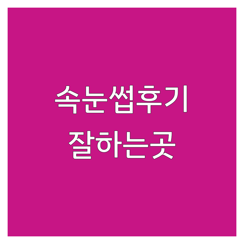 전국 속눈썹후기 | 속눈썹연장 펌 잘하는 곳 | 비용 가격 저렴한 곳 | 자연스러운 유지력 좋은 전문샵 추천 | 맞춤 디자인 친절한 시술