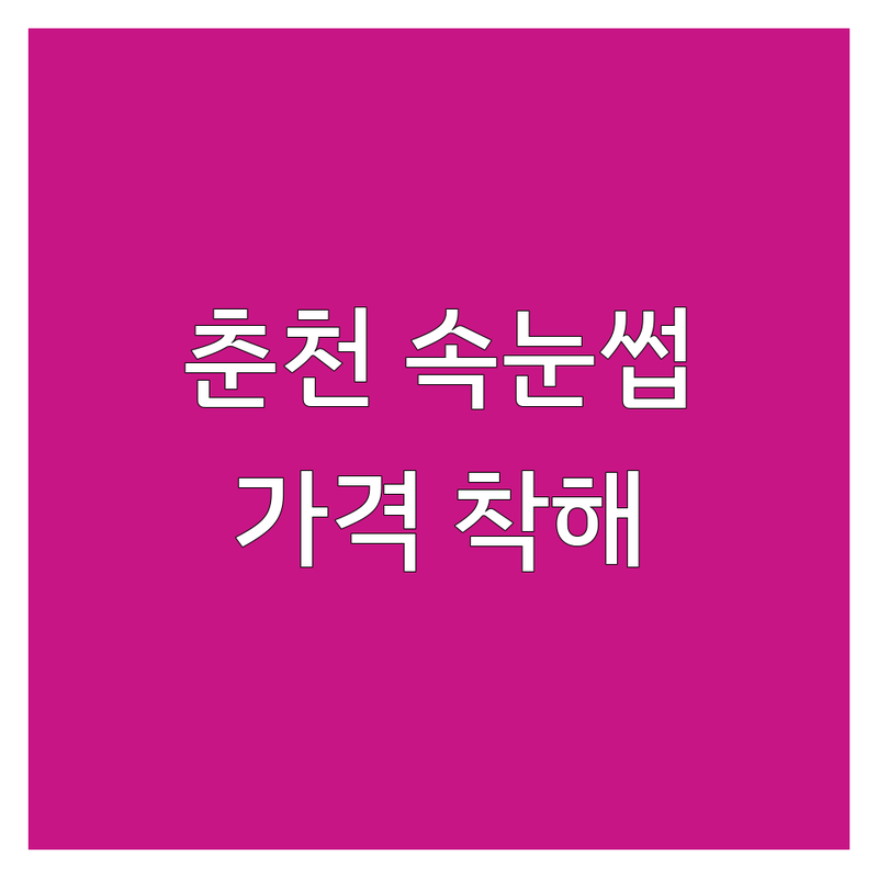 춘천 속눈썹매장 저렴한 곳 추천 | 속눈썹 연장 펌 가격 잘하는 곳 | 자연스러운 디자인 유지력 좋은 곳 | 친절하고 꼼꼼한 시술 | 첫 방문 할인