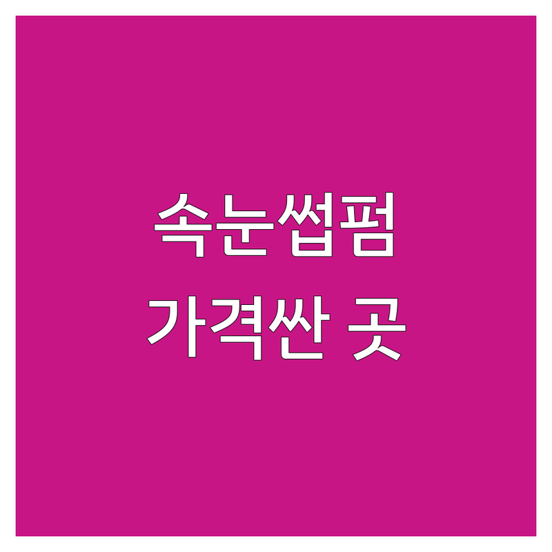 서울 중구 을지로 명동 회현 속눈썹 연장 펌 저렴한 곳 가격싼 곳 업체 추천 | 속눈썹펌 속눈썹연장 비용 가격 잘하는 곳 | 노글루펌 블랙틴팅펌 언더펌 | 1:1 맞춤 시술 예약제 | 주차가능 후기좋은곳