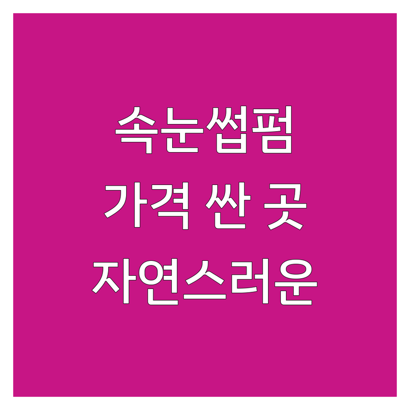 서울 속눈썹연장 속눈썹펌 저렴한 곳 가격싼 곳 업체 추천 | 속눈썹디자인 비용 가격 잘하는 곳 | 자연스러운 연장 유지력 좋은 펌 | 첫 방문 할인 전문가 상담 | 홍대 신도림 동대문 미아 이태원