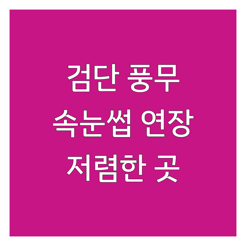 인천 서구 검단신도시 김포 풍무동 속눈썹연장 저렴한 곳 가격싼 곳 업체 추천 | 속눈썹연장 비용 가격 잘하는 곳 | 플랫모 연장 | LED 속눈썹 | 마스카라 연장 | 언더 연장 | 클리닉펌 | 블랙틴팅펌 | 볼륨연장 | 친절한 상담 | 꼼꼼한 시술 | 편안한 분위기 | 맞춤 디자인 | 위생 관리 | 재료 인증 | 무료 주차 | 예약제 운영 | 첫 방문 할인 | 이벤트