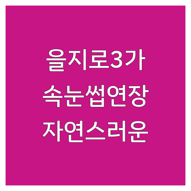 을지로3가 종로 명동 속눈썹매장 저렴한 곳 가격싼 곳 업체 추천 | 속눈썹연장 속눈썹펌 비용 가격 잘하는 곳 | 노글루펌 케라틴펌 복구펌 틴팅펌 | 유지력좋은 자연스러운 속눈썹 | 예약제 주차가능 친절한샵