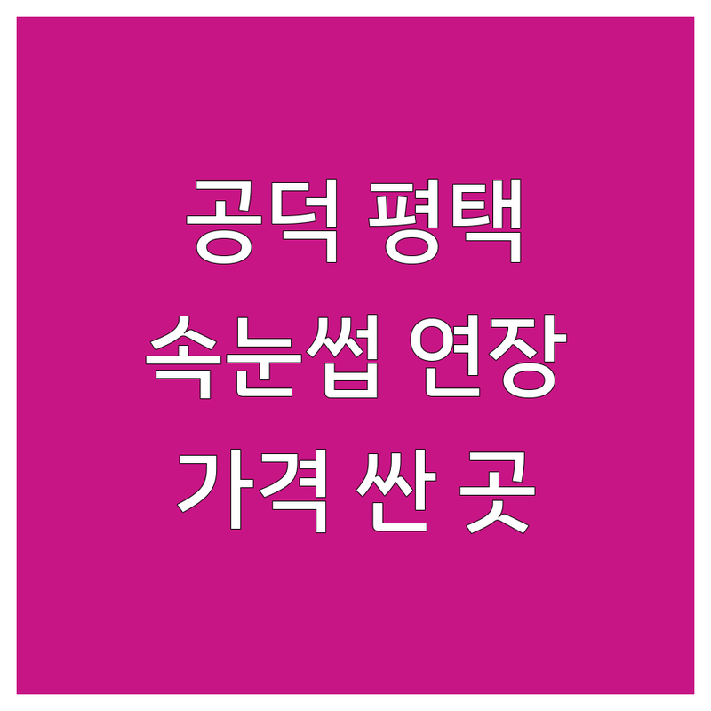 공덕역 평택 강릉 속눈썹 연장 펌 저렴한 곳 가격싼 곳 업체 추천 | 속눈썹증모 비용 가격 잘하는 곳 | 마스카라연장 수분영양펌 클래식연장 | 유지력 꼼꼼한 시술 예약제 | 무료주차 역세권