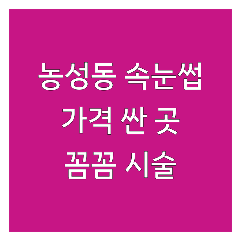 광주 농성동 속눈썹뷰티샵 저렴한 곳 가격싼 곳 업체 추천 | 속눈썹연장 비용 가격 잘하는 곳 | 속눈썹펌 블랙틴팅 LED속눈썹 | 유지력 좋은 자연스러운 속눈썹 | 꼼꼼한 시술 1인샵 예약제