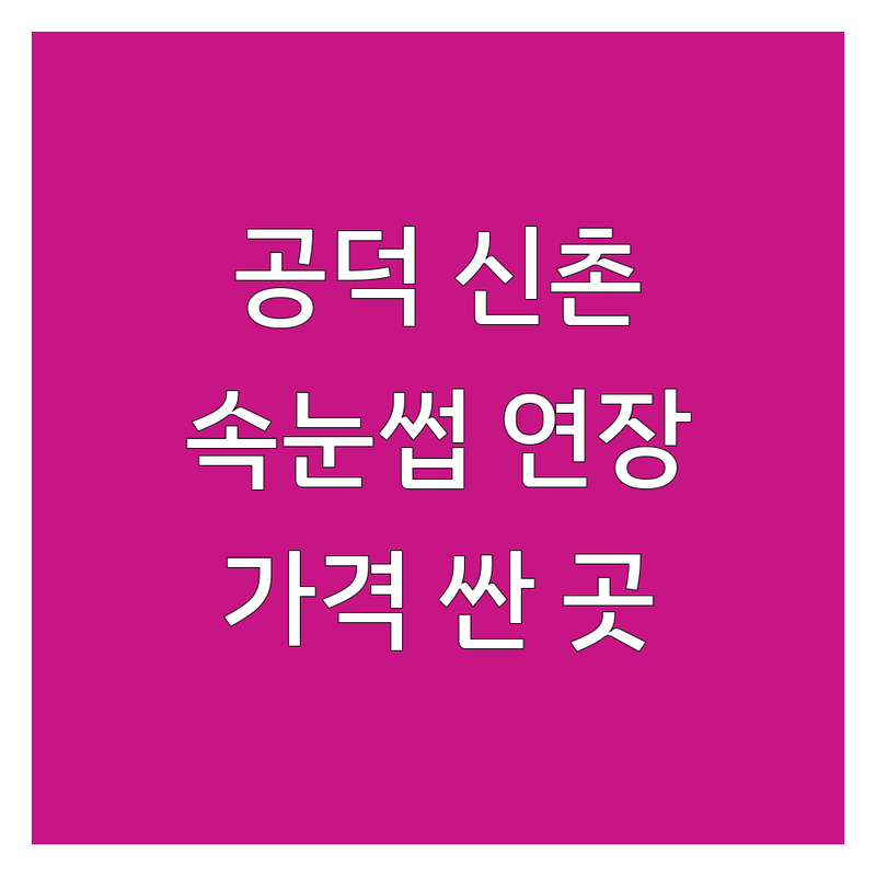 공덕역 신촌역 속눈썹연장 펌 저렴한 곳 가격싼 곳 업체 추천 | 속눈썹마스카라 속눈썹펌 비용 가격 잘하는 곳 | 마스카라연장 클래식연장 수분영양펌 블랙틴팅펌 | 아이돌래쉬 포인트연장 애니메래쉬 | 눈매맞춤 디자인 유지력 좋은곳 편안한 시술