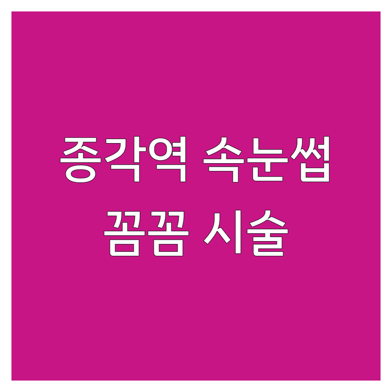 종각역 서대문역 속눈썹연장 저렴한곳 가격싼곳 업체 추천 | 속눈썹펌 자연스러운 연장 비용 가격 잘하는 곳 | 노글루펌 유지력 좋은 속눈썹샵 | 맞춤디자인 꼼꼼한 시술 | 솔직 후기 비교 전문샵