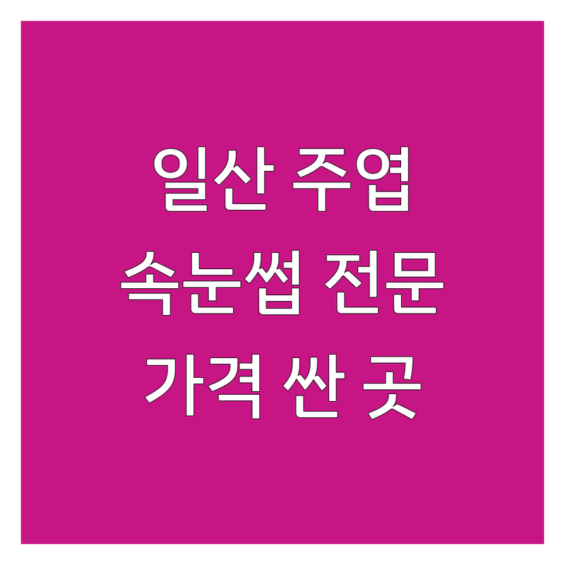 경기 고양시 일산서구 주엽동 속눈썹전문점 저렴한 곳 가격싼 곳 업체 추천 | 속눈썹 연장 펌 증모 비용 가격 잘하는 곳 | 뷰러펌 자연스러운 볼륨 속눈썹 | 친절 꼼꼼 눈시림 없는 유지력 좋은 | 첫 방문 할인 예약제 주차 가능 후기