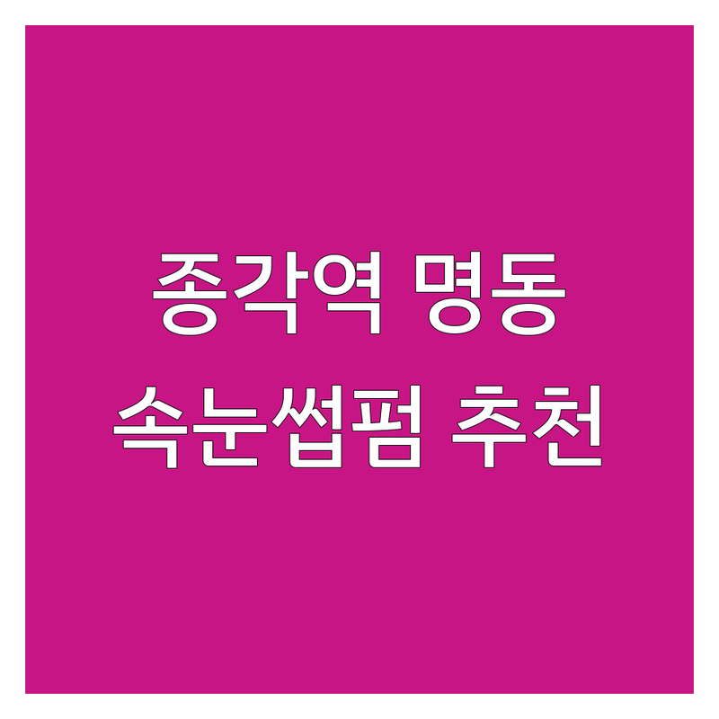 종각역 명동역 속눈썹펌 저렴한 곳 가격싼 곳 업체 추천 | 속눈썹연장 비용 가격 잘하는 곳 | 노글루펌 케라틴펌 블랙틴팅펌 | 유지력 꼼꼼한 시술 친절한 곳 | 무료상담 예약제 주차가능 후기좋은곳